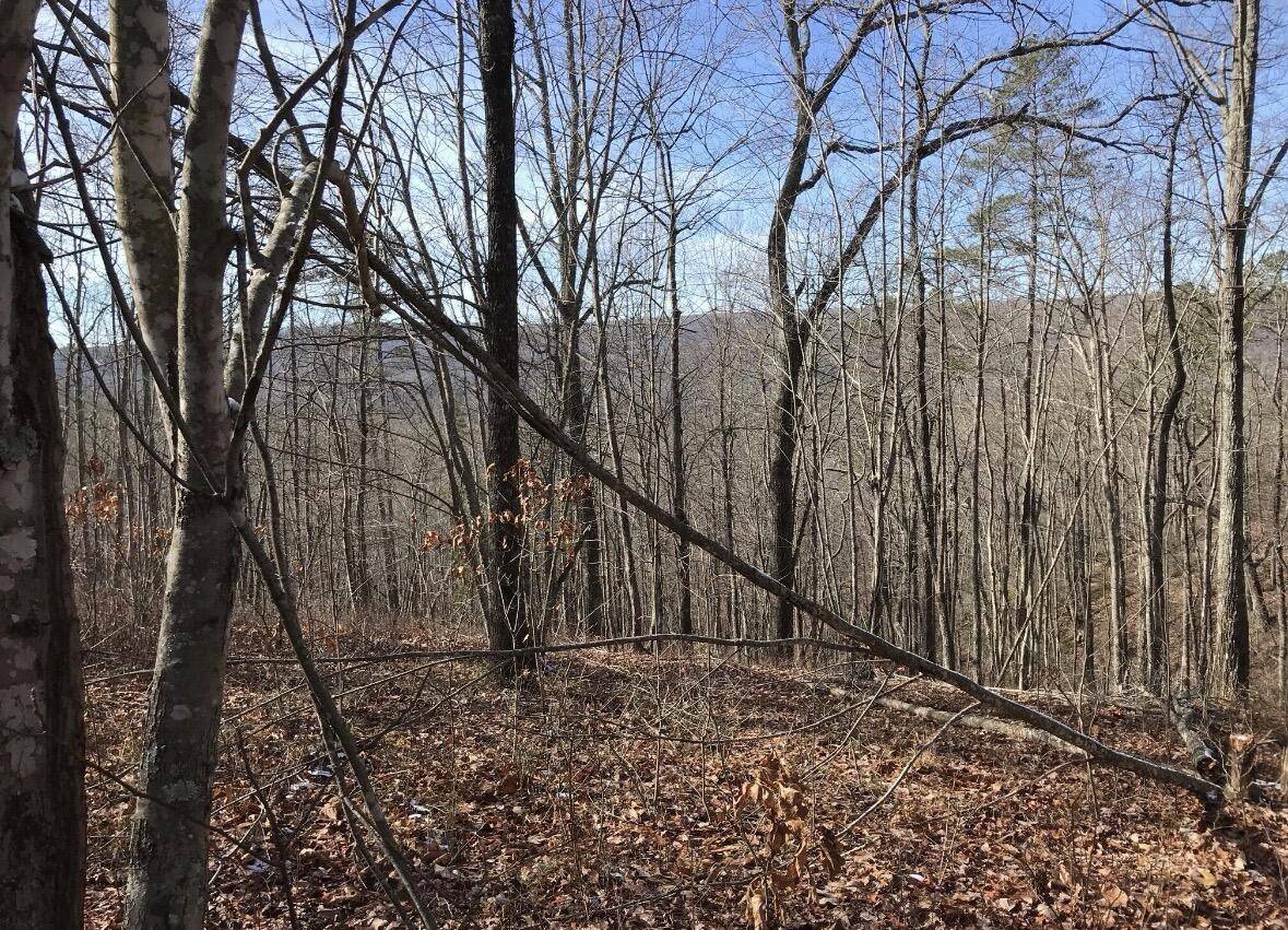 0 Chestnut Oak Drive, Dunlap, TN 37327