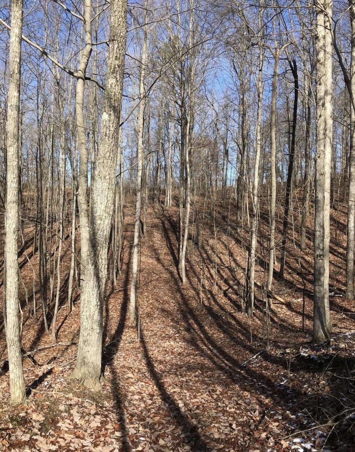0 Chestnut Oak Drive, Dunlap, TN 37327