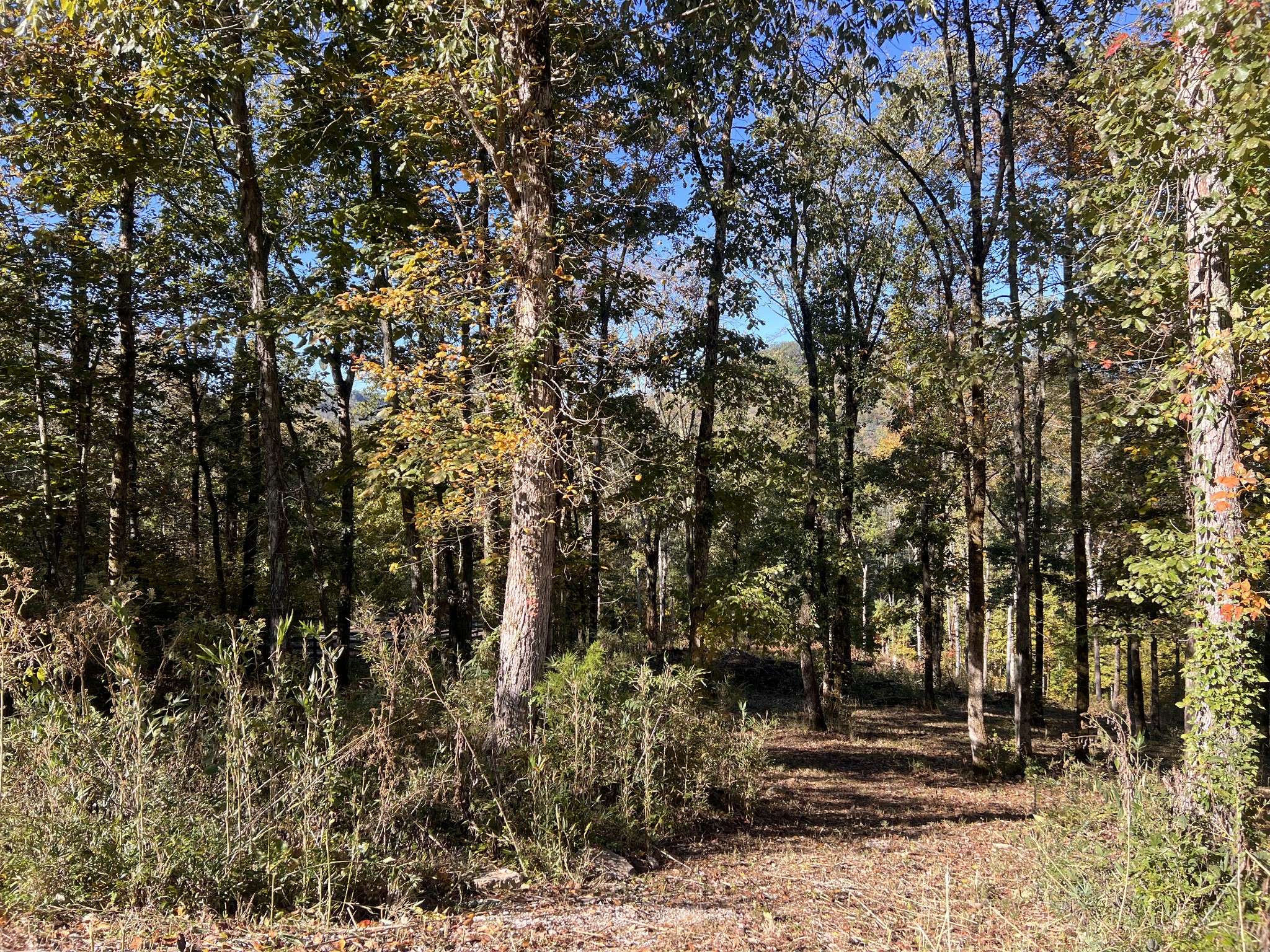 0 Shoreside Dr, Smithville, TN 37166