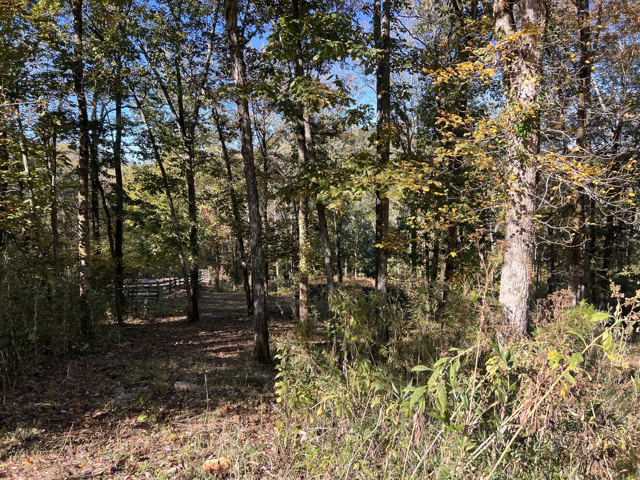 0 Shoreside Dr, Smithville, TN 37166