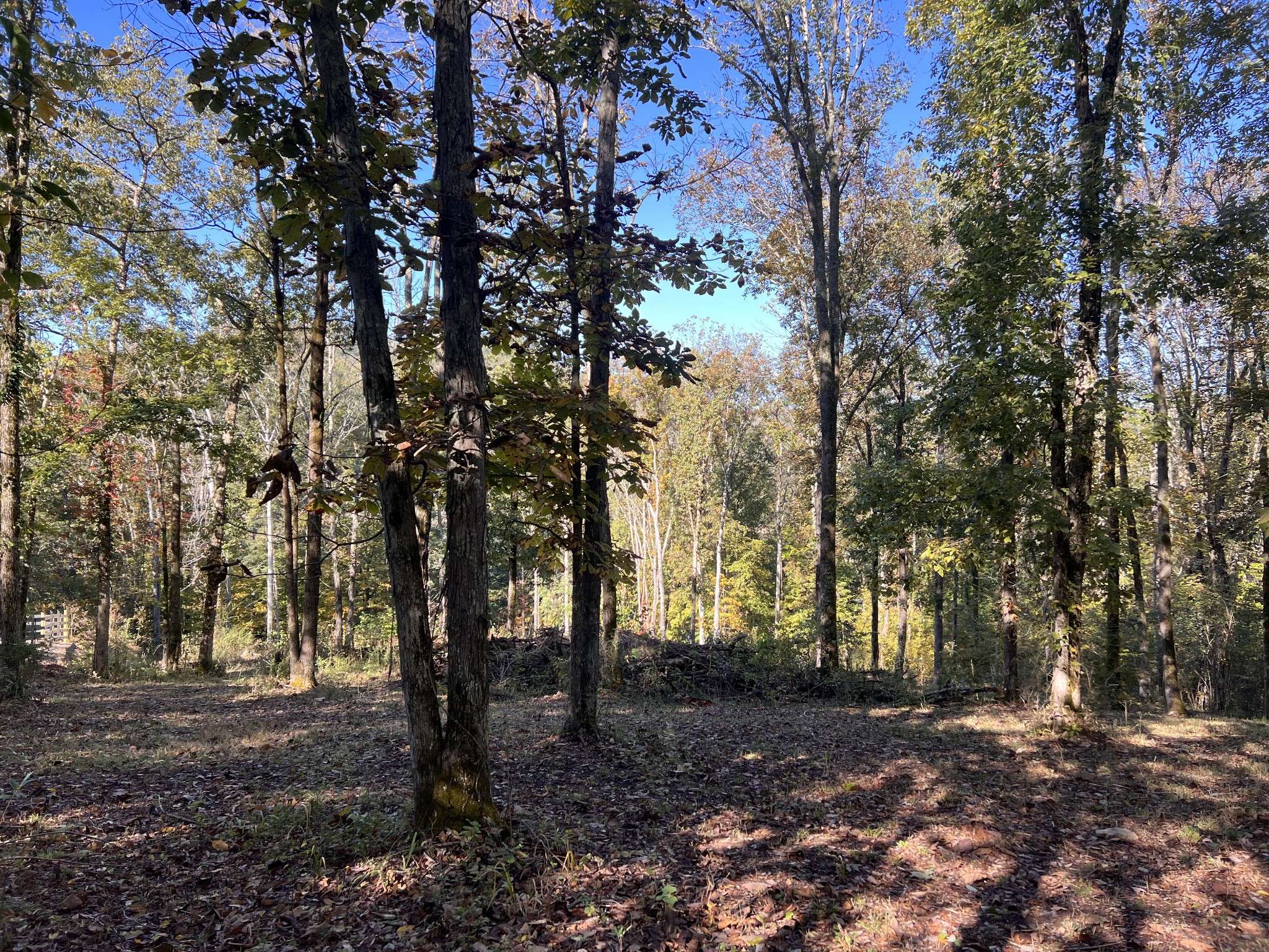 0 Shoreside Dr, Smithville, TN 37166