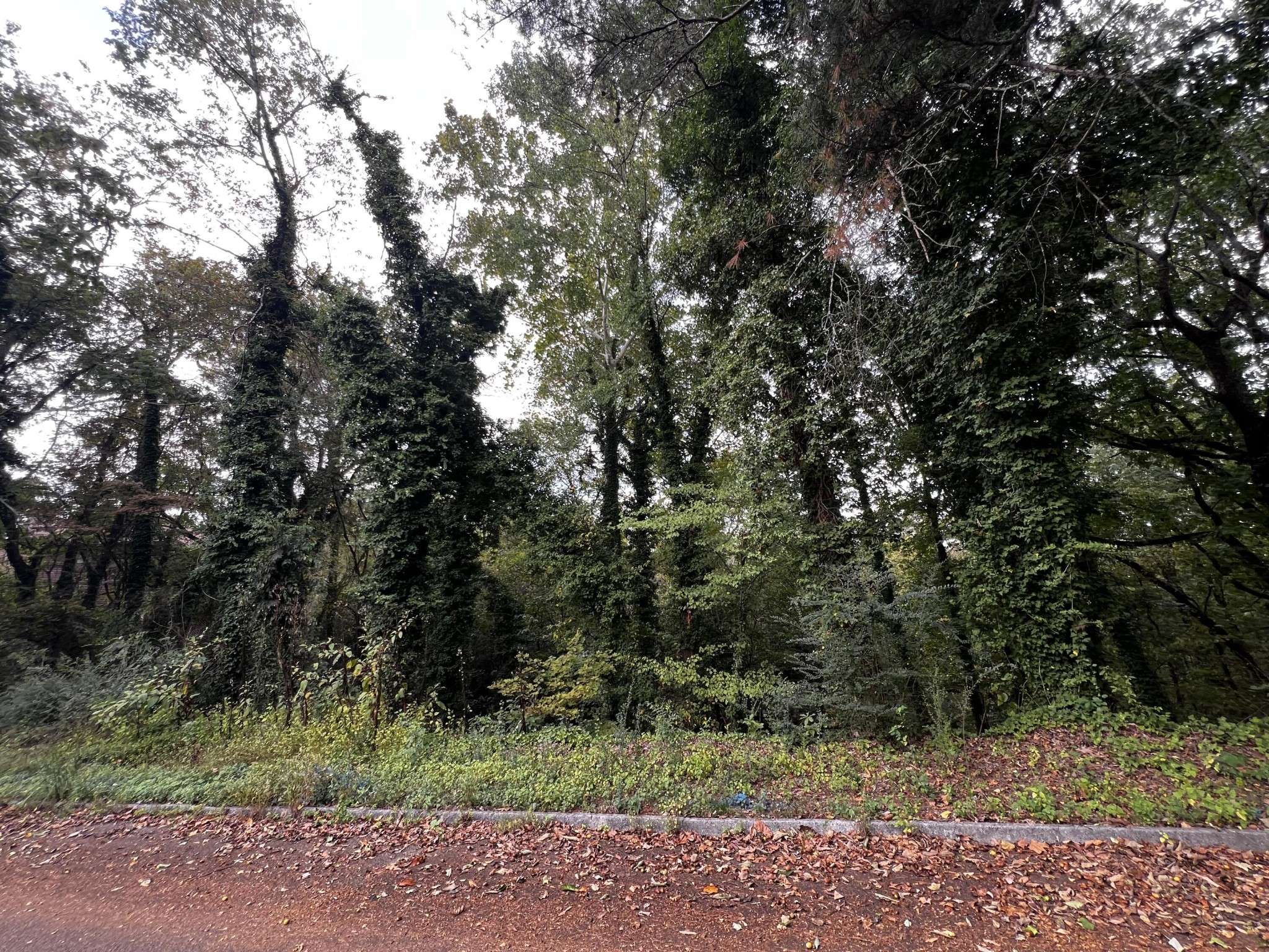 4810 Delashmitt Road, Hixson, TN 37343