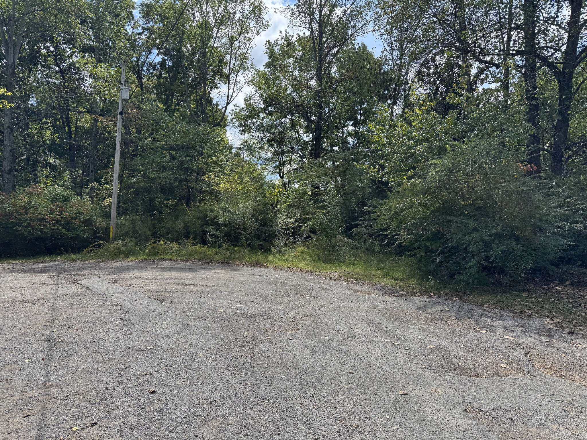 9456 Cedar Dr, Bon Aqua, TN 37025