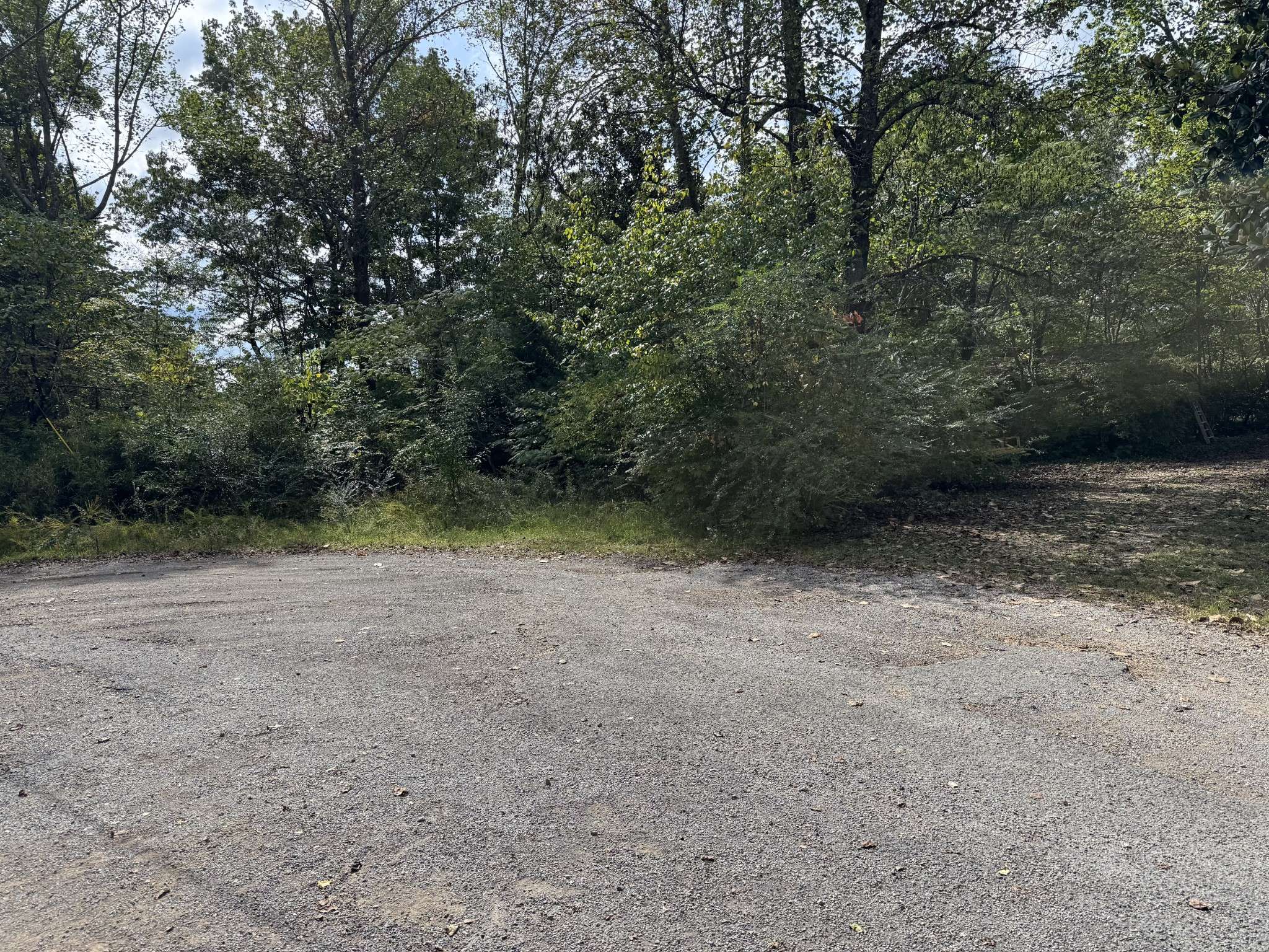 9456 Cedar Dr, Bon Aqua, TN 37025