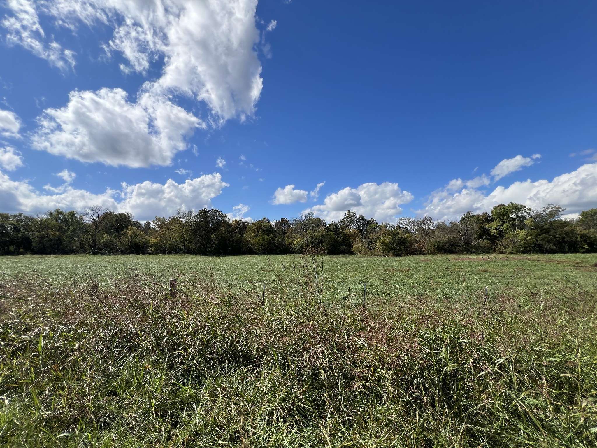 0 Bell Buckle Wartrace Rd, Wartrace, TN 37183