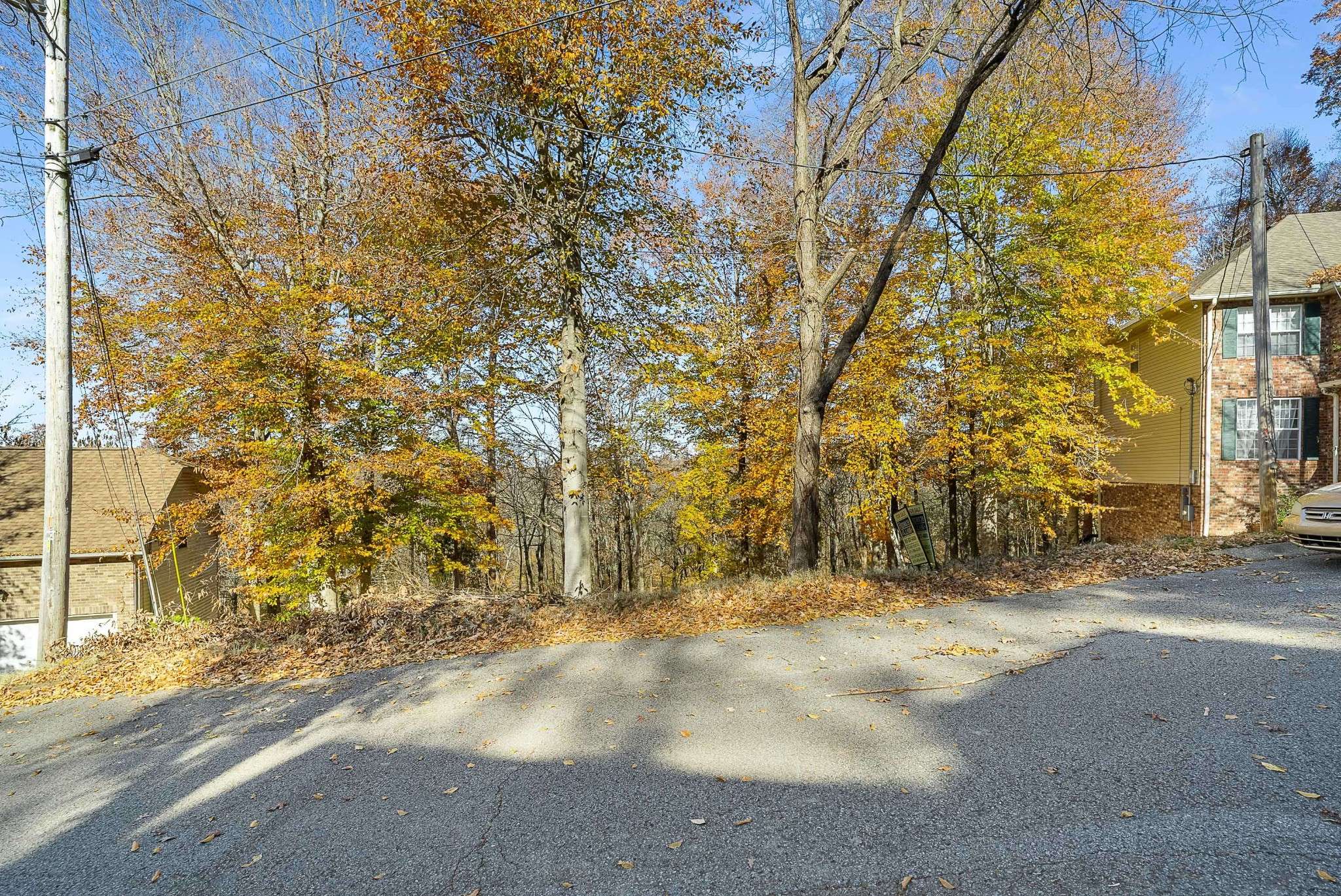 165 Overlook Ct, Kingston Springs, TN 37082
