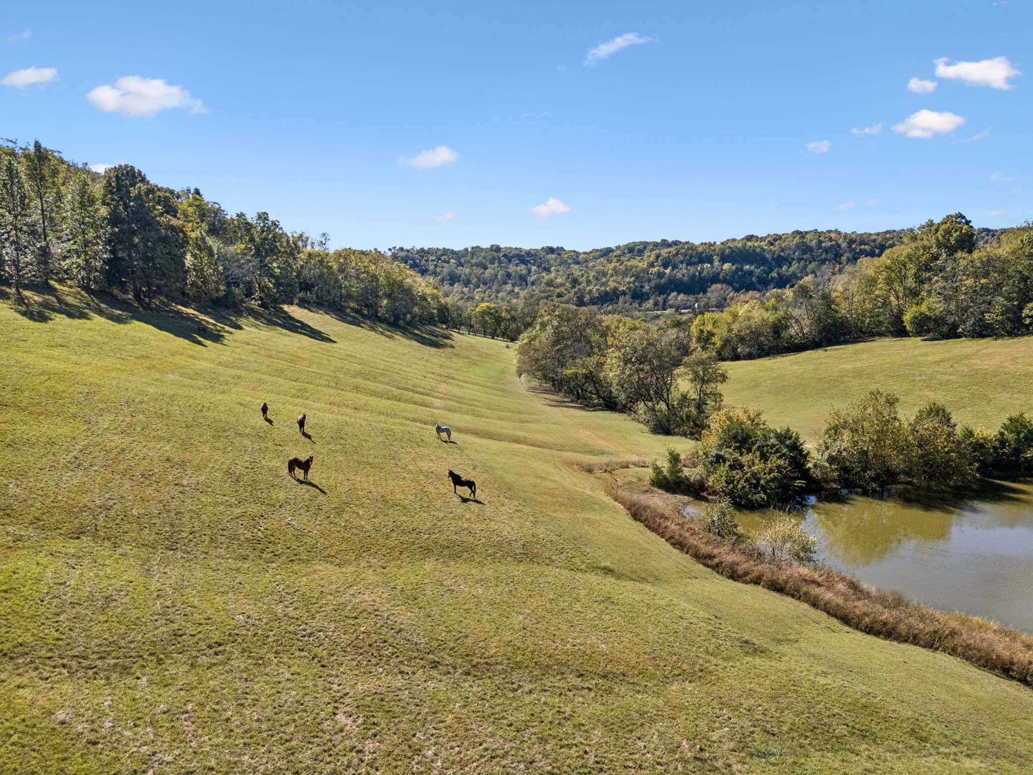2846 Fuller Hollow Rd, Cornersville, TN 37047