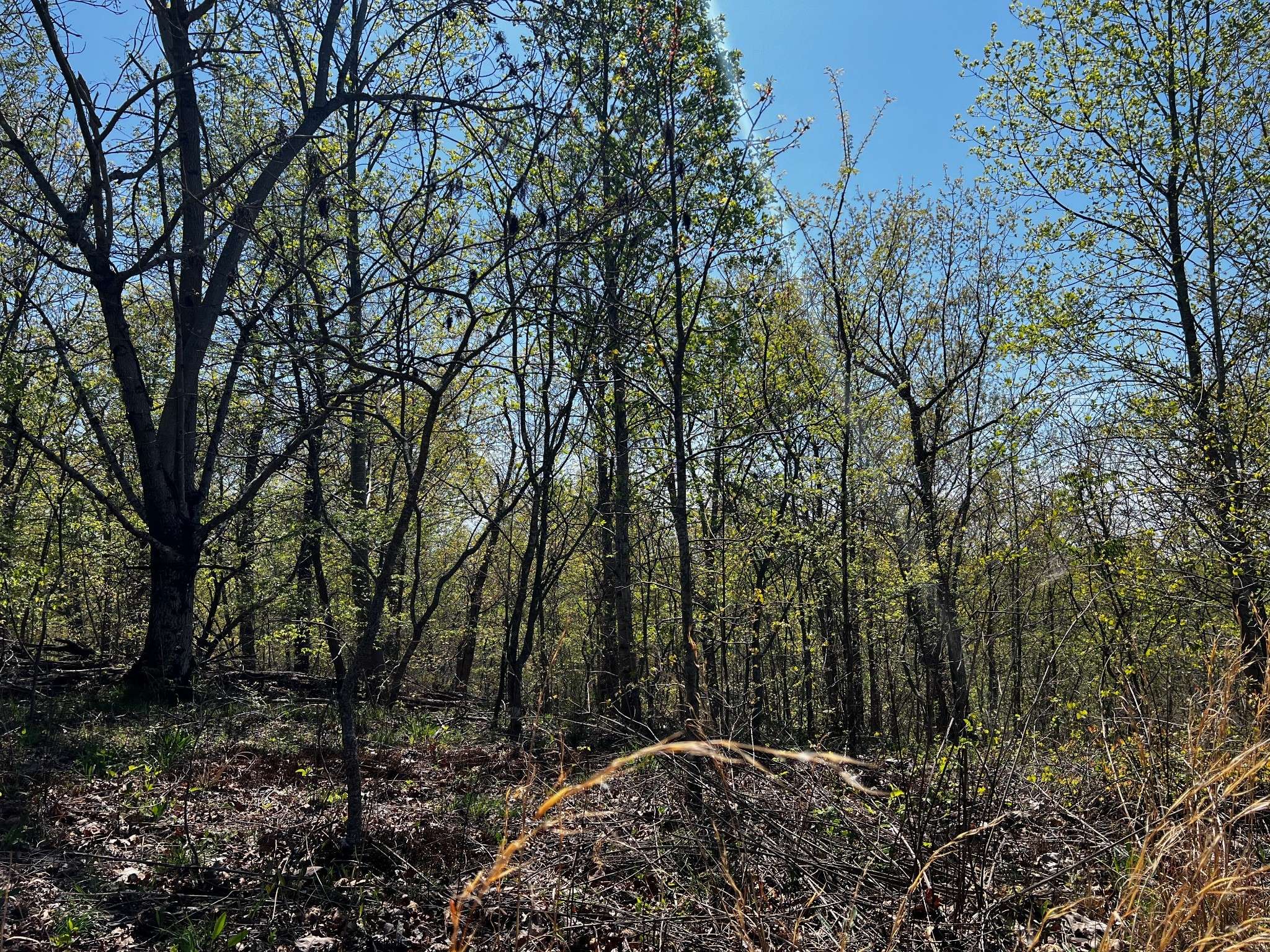 0 Shores Trail, Stewart, TN 37175