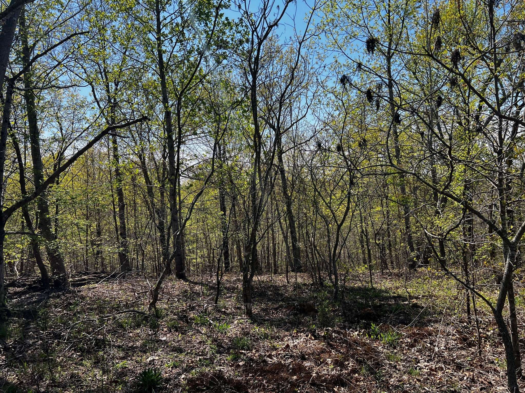 0 Shores Trail, Stewart, TN 37175