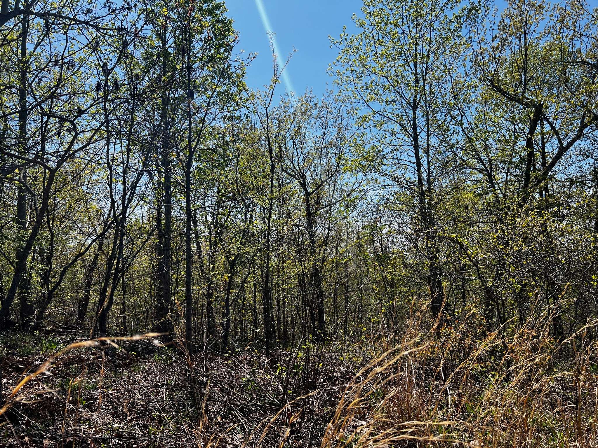 0 Shores Trail, Stewart, TN 37175