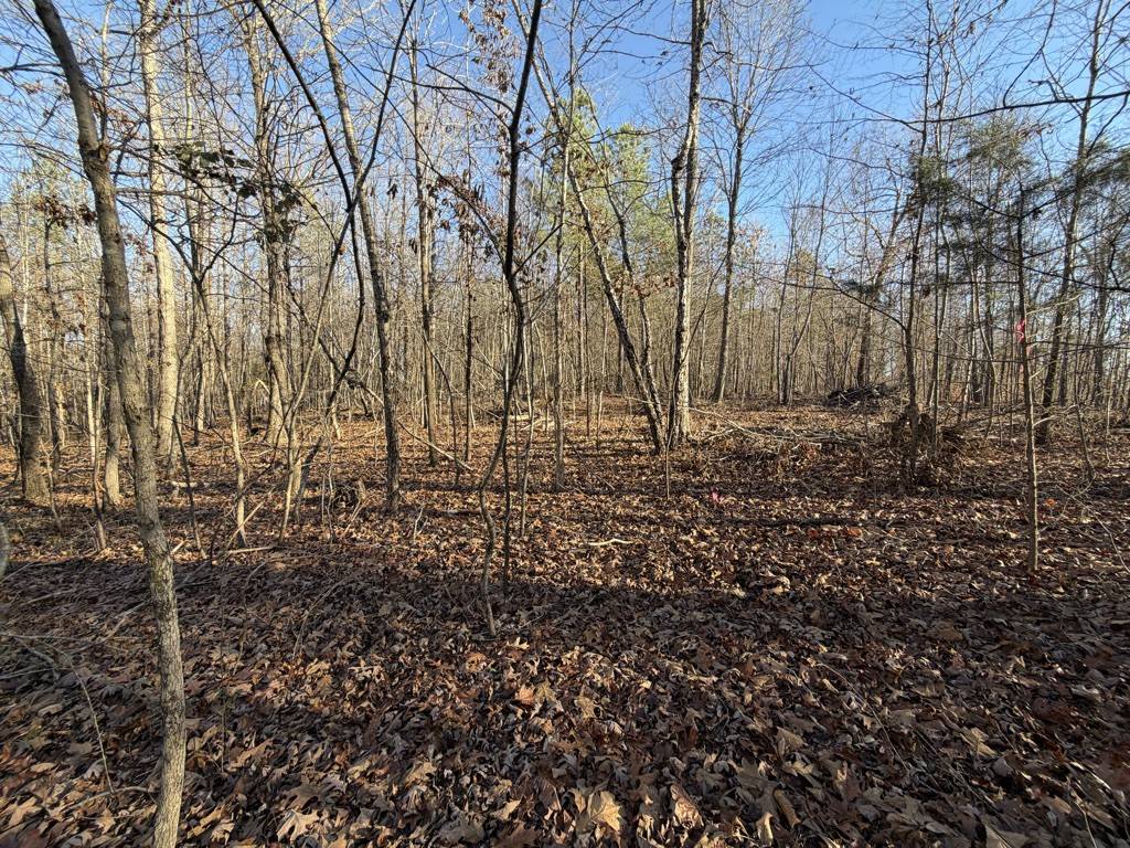 0 Hatley Rd, Lyles, TN 37098