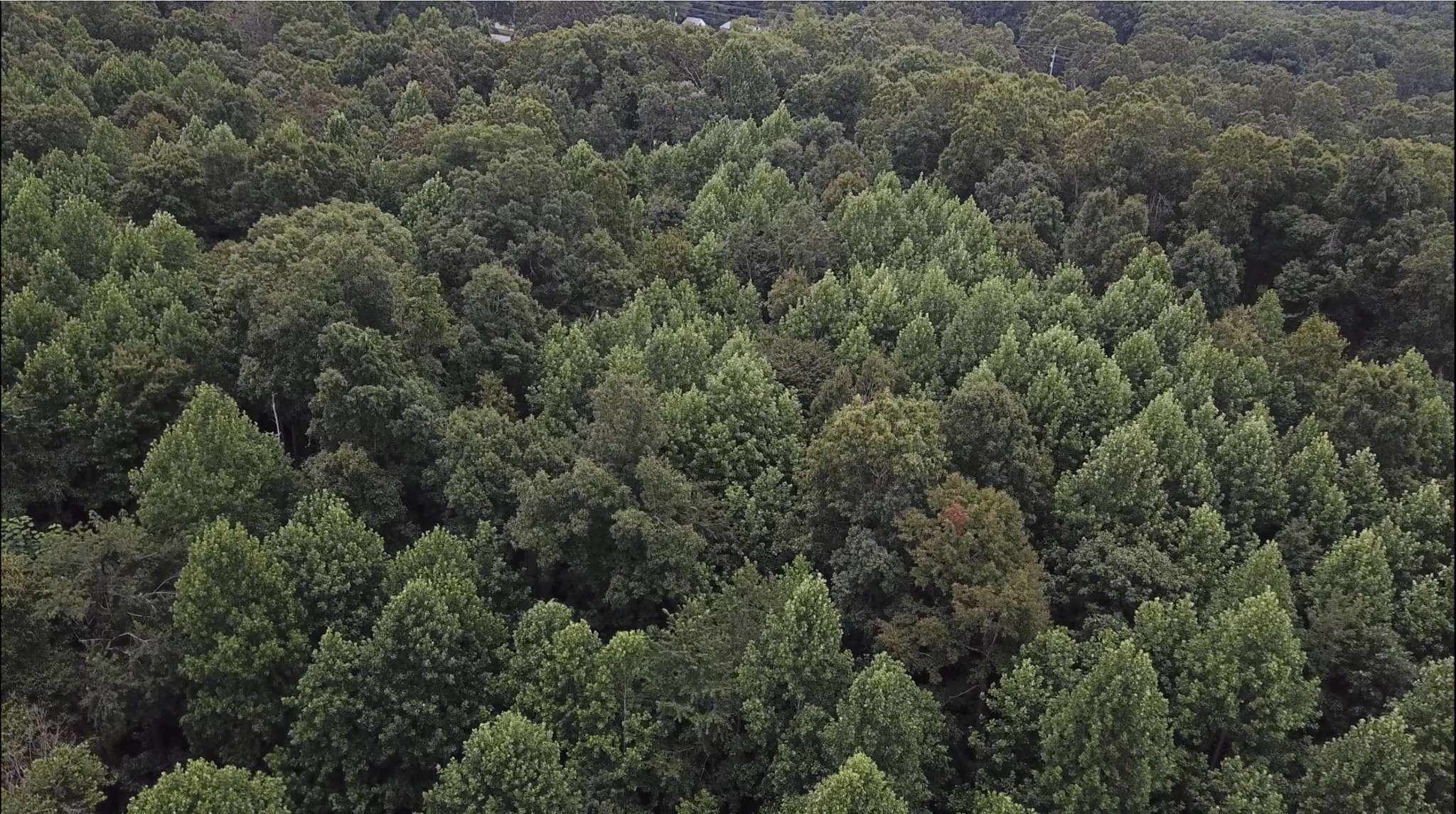 0 Hatley Rd, Lyles, TN 37098