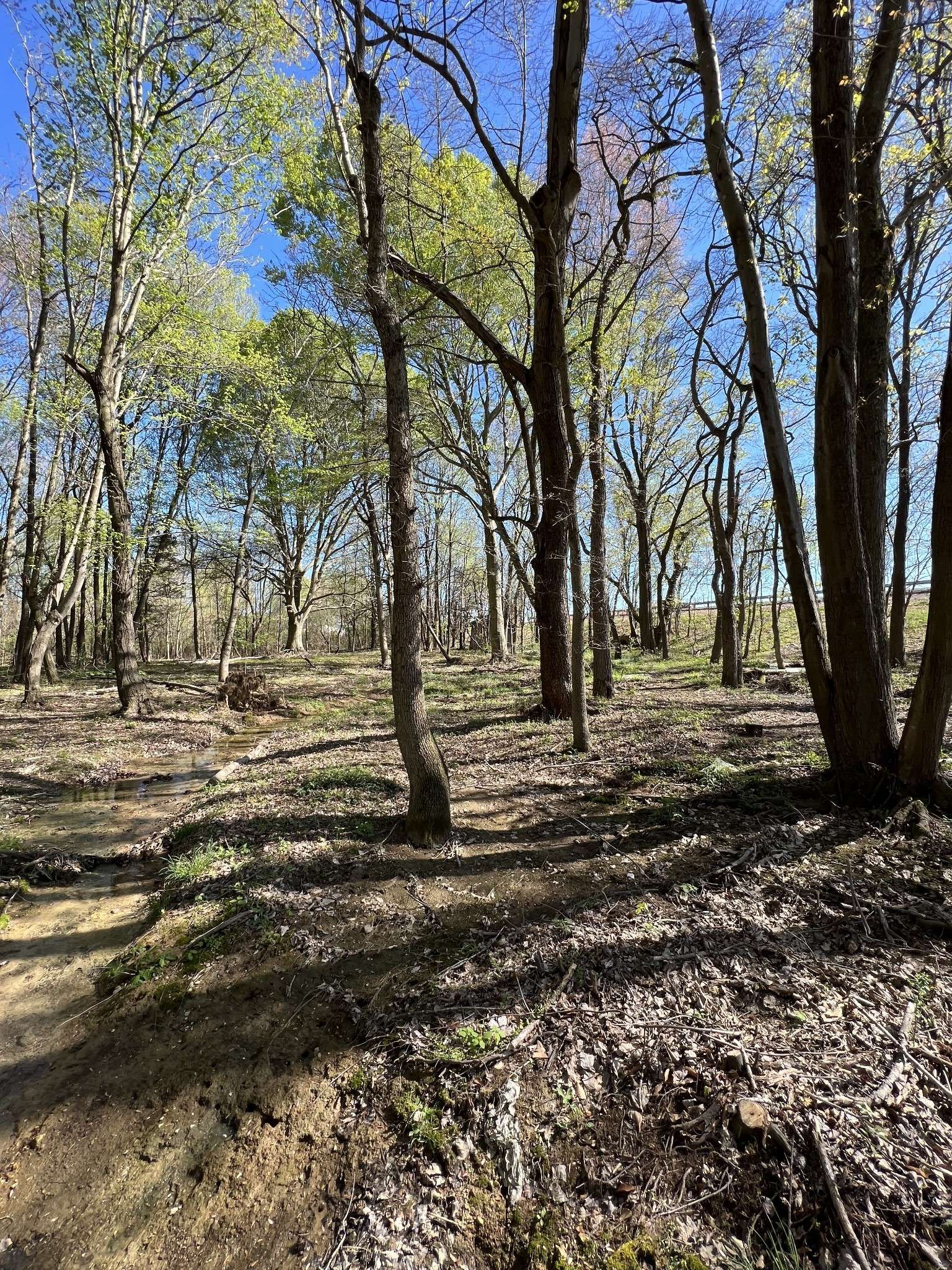 22 Highway 52E, Lafayette, TN 37083