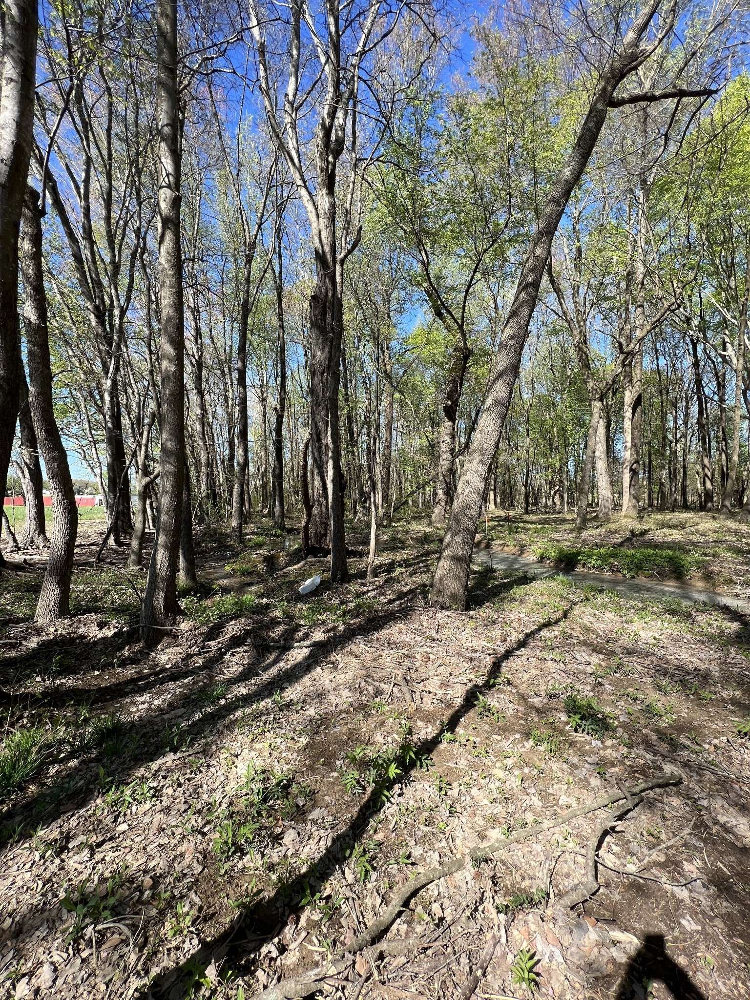 21 Highway 52E, Lafayette, TN 37083
