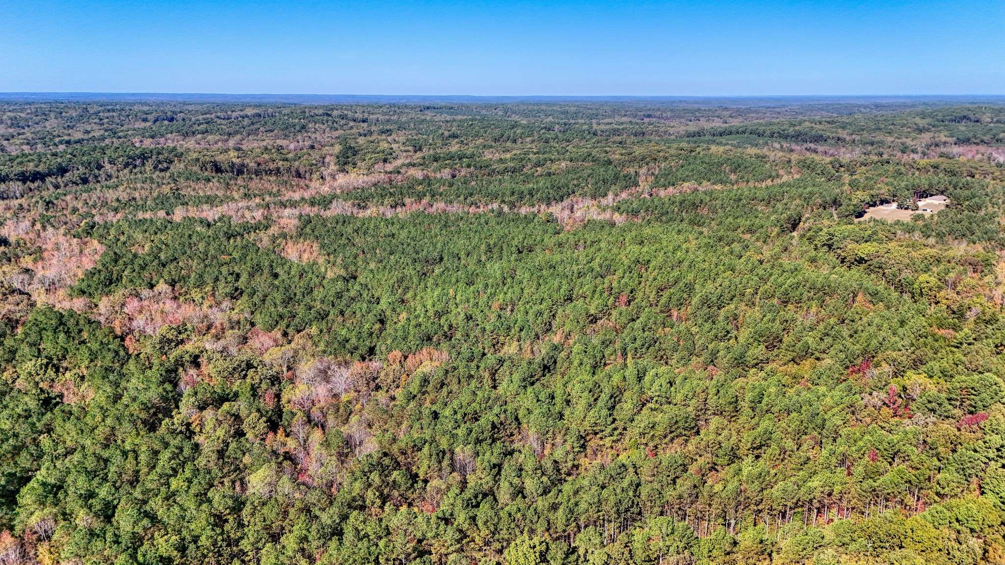 0 Cavia Rd, Westport, TN 38387