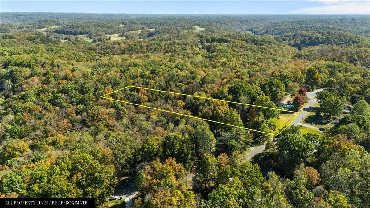 1006 Crestview Ct, Kingston Springs, TN 37082