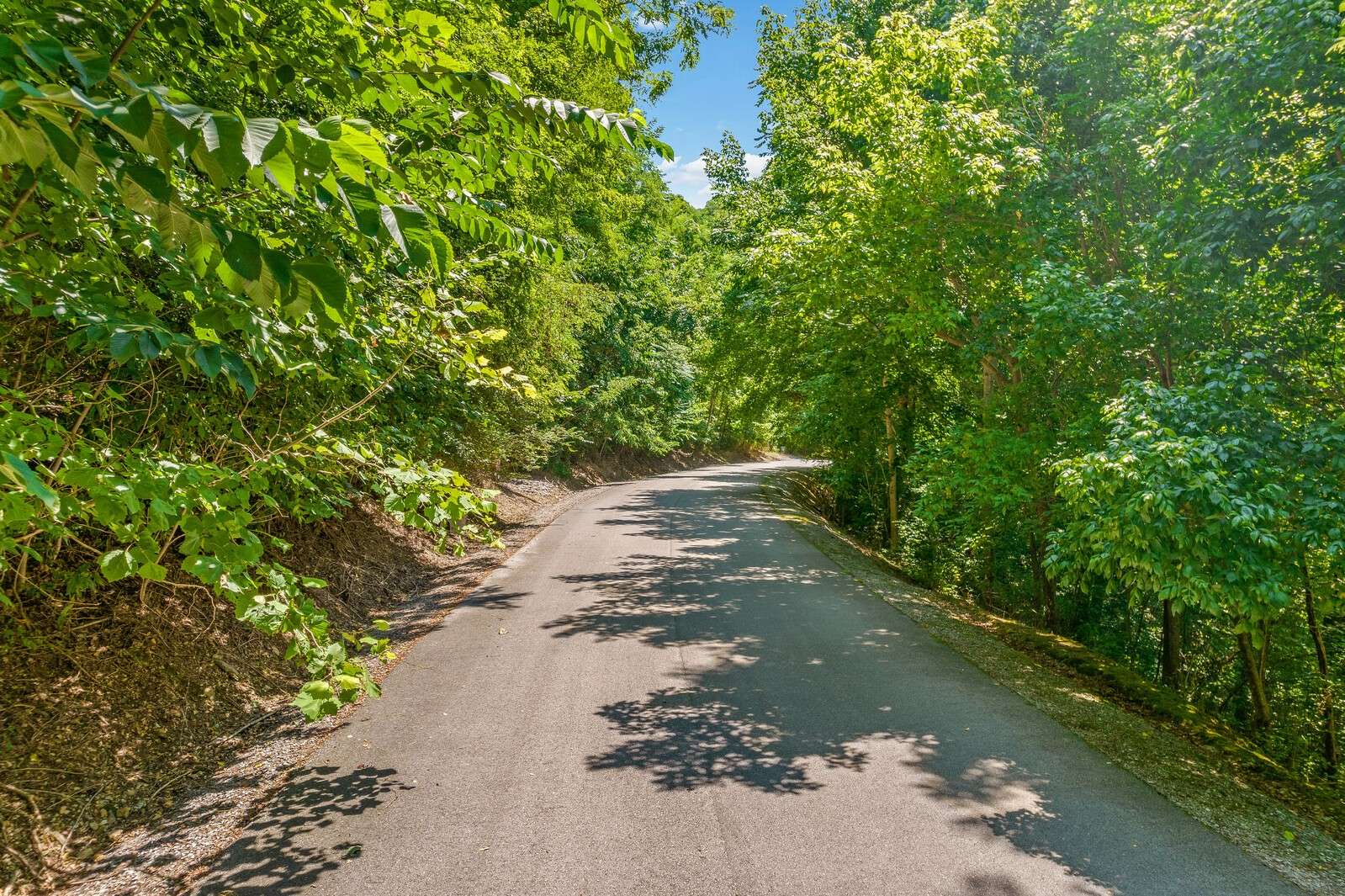 2 Shoreside Dr, Smithville, TN 37166