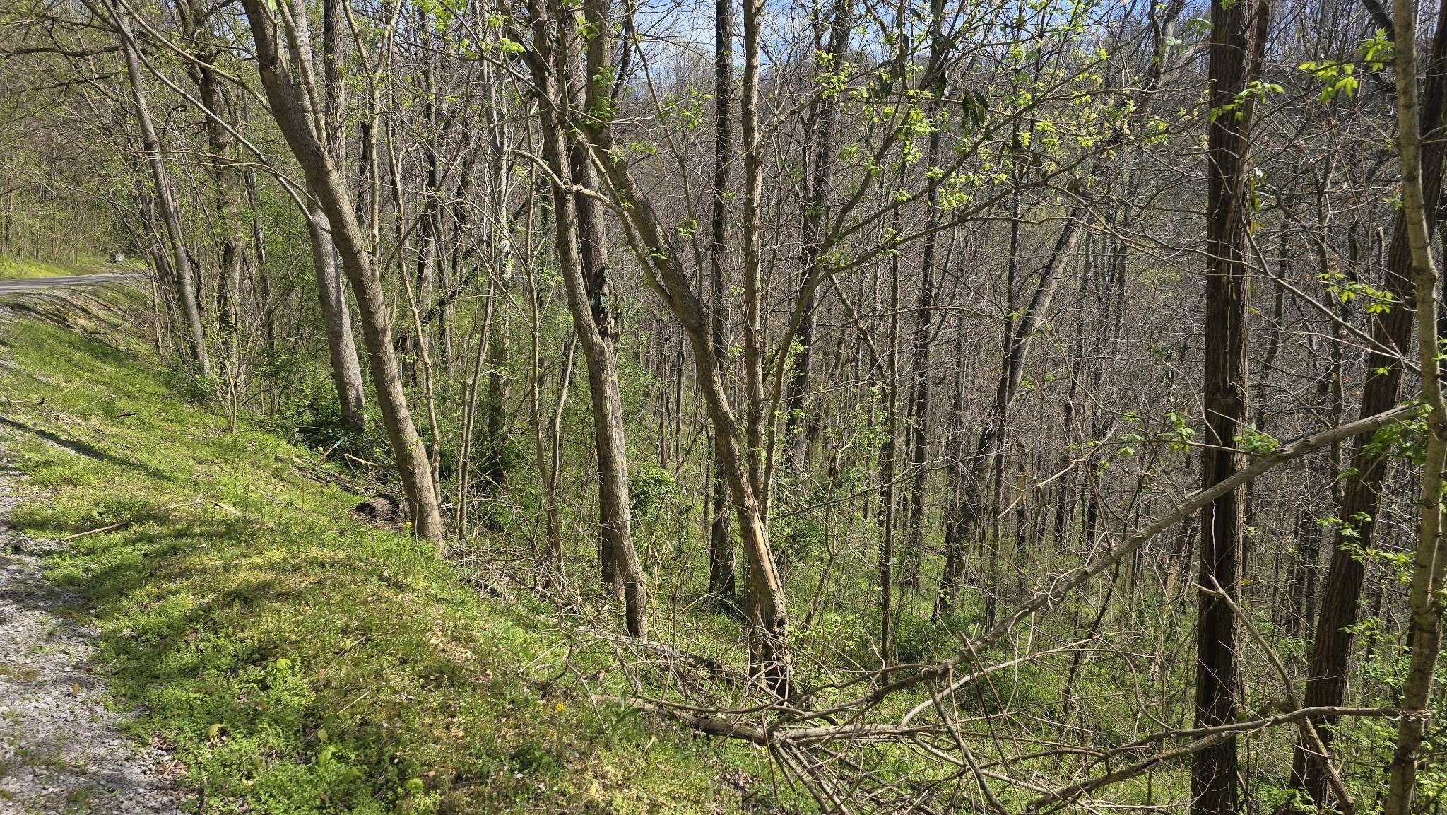 2 Shoreside Dr, Smithville, TN 37166