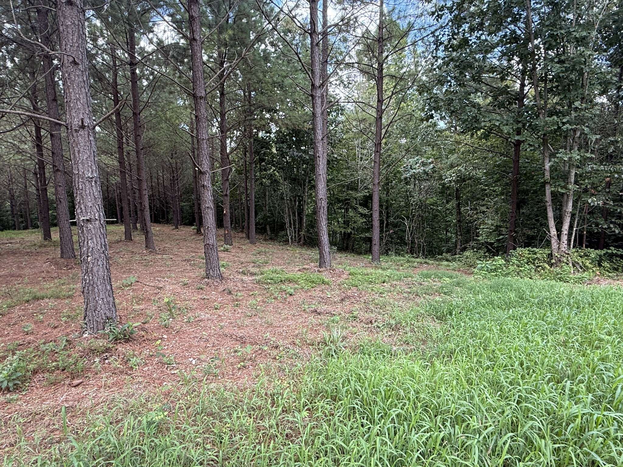 5608 Old Hohenwald rd, Linden, TN 37096