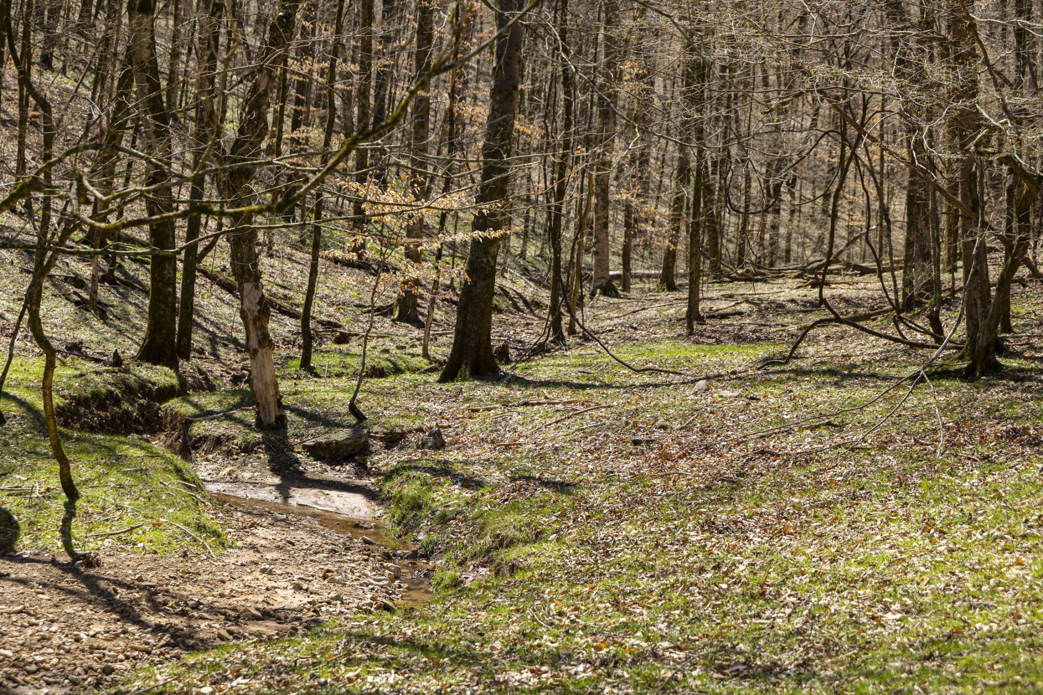 30 King Hollow Rd, Petersburg, TN 37144