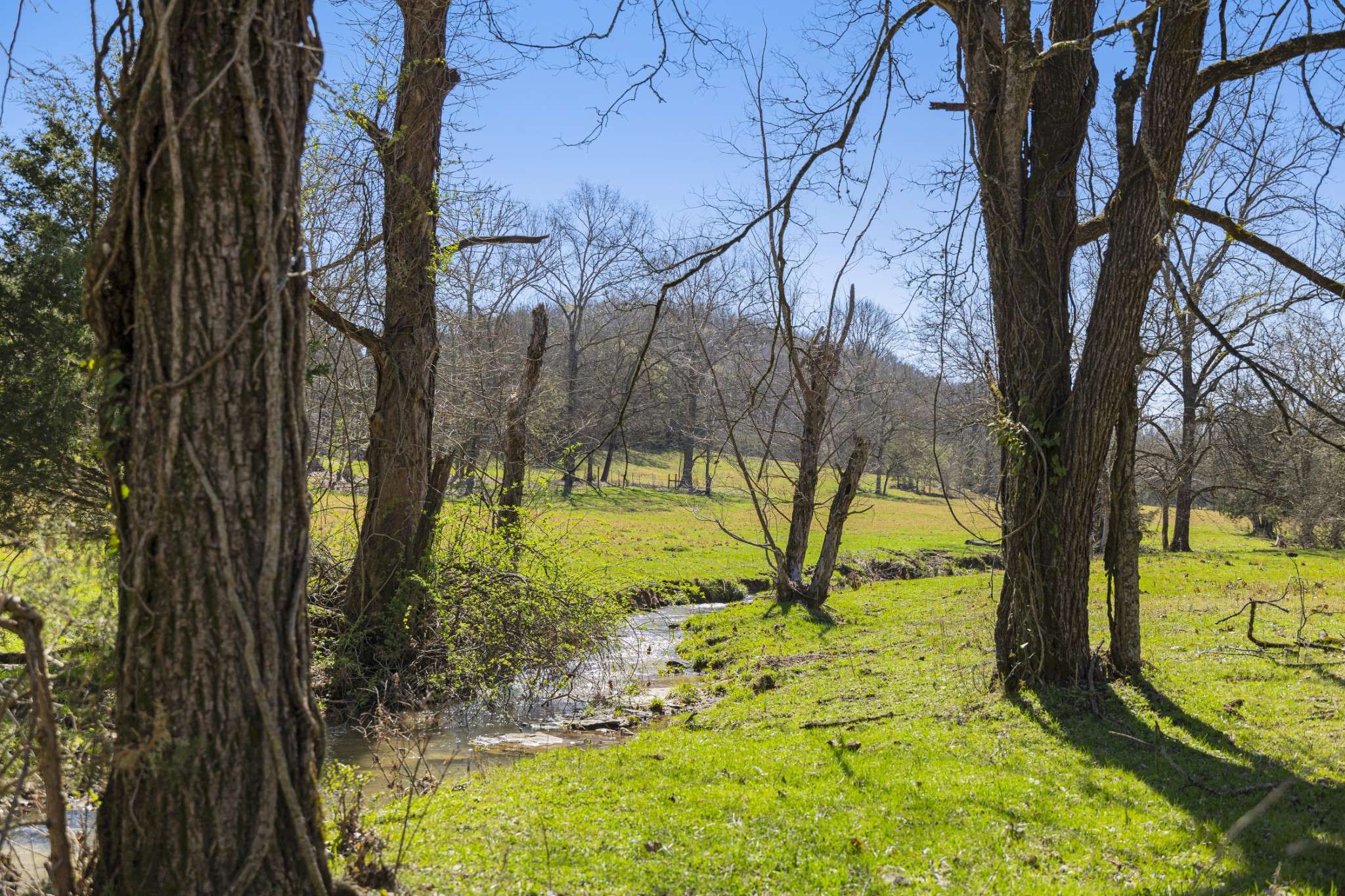 30 King Hollow Rd, Petersburg, TN 37144