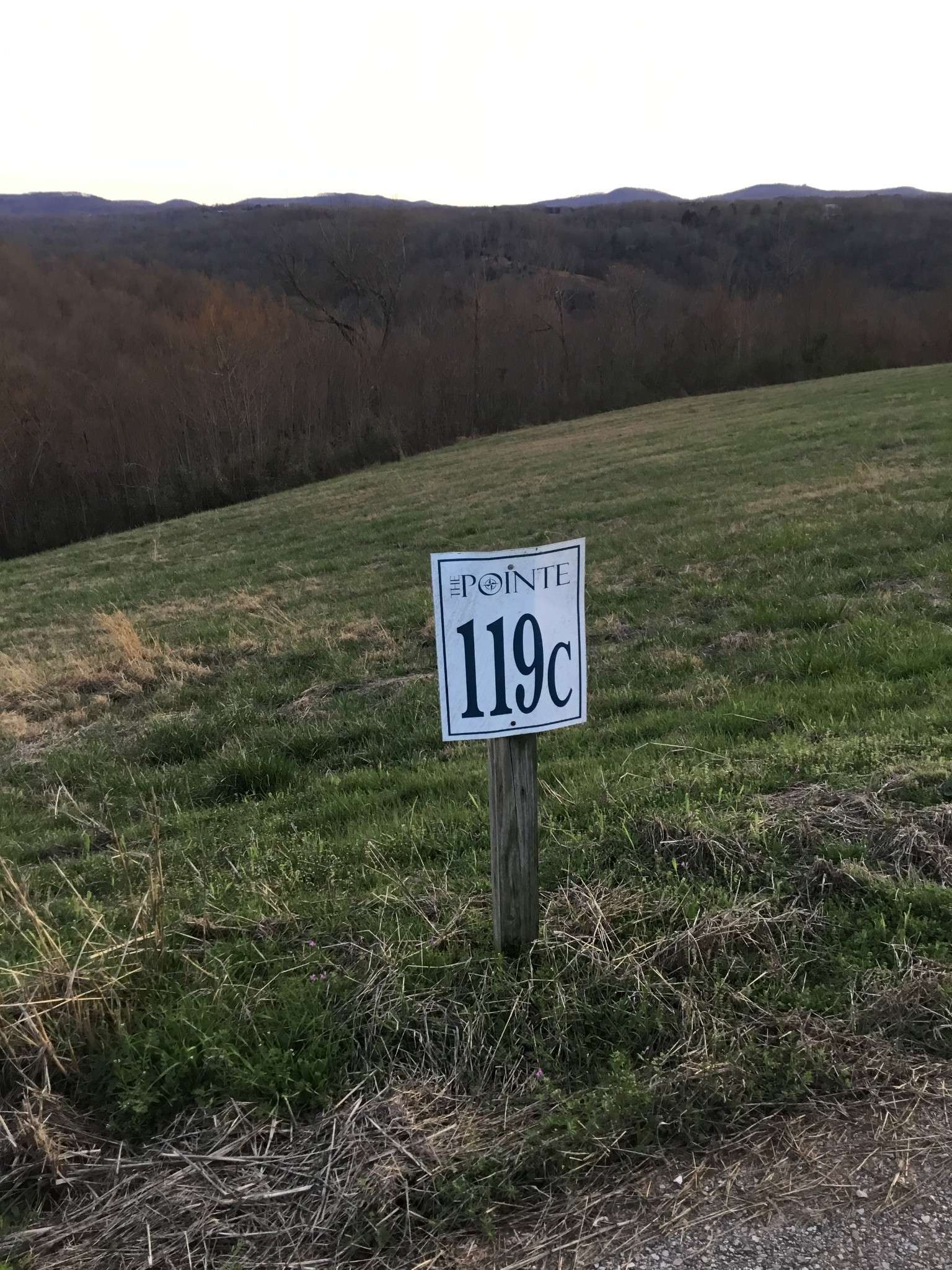 119 Sunfish Ln, Hilham, TN 38568