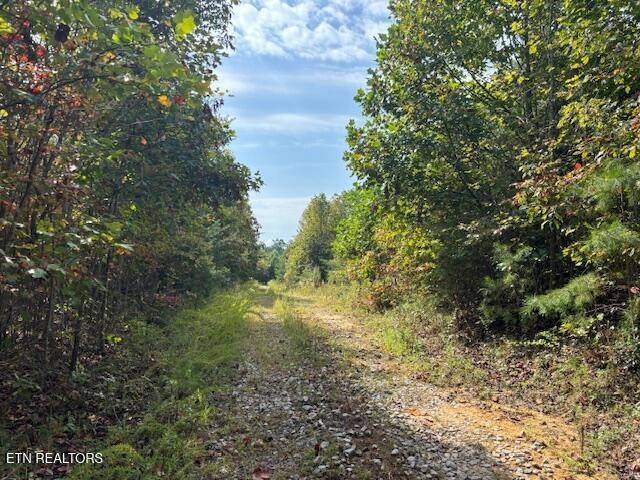 0 Otis Davis Rd, Pikeville, TN 37367