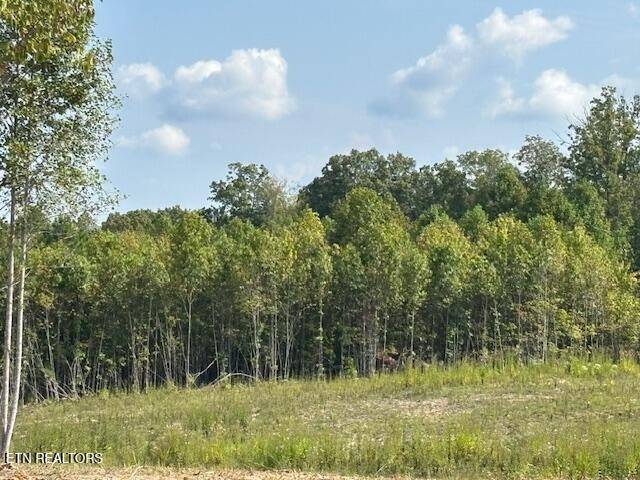 0 Otis Davis Rd, Pikeville, TN 37367