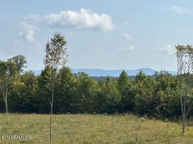 0 Otis Davis Rd, Pikeville, TN 37367