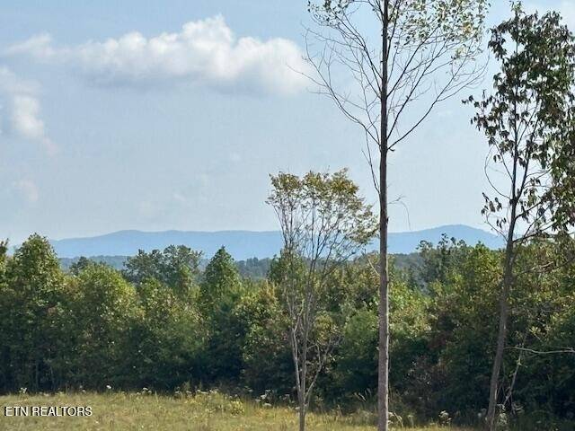 0 Otis Davis Rd, Pikeville, TN 37367
