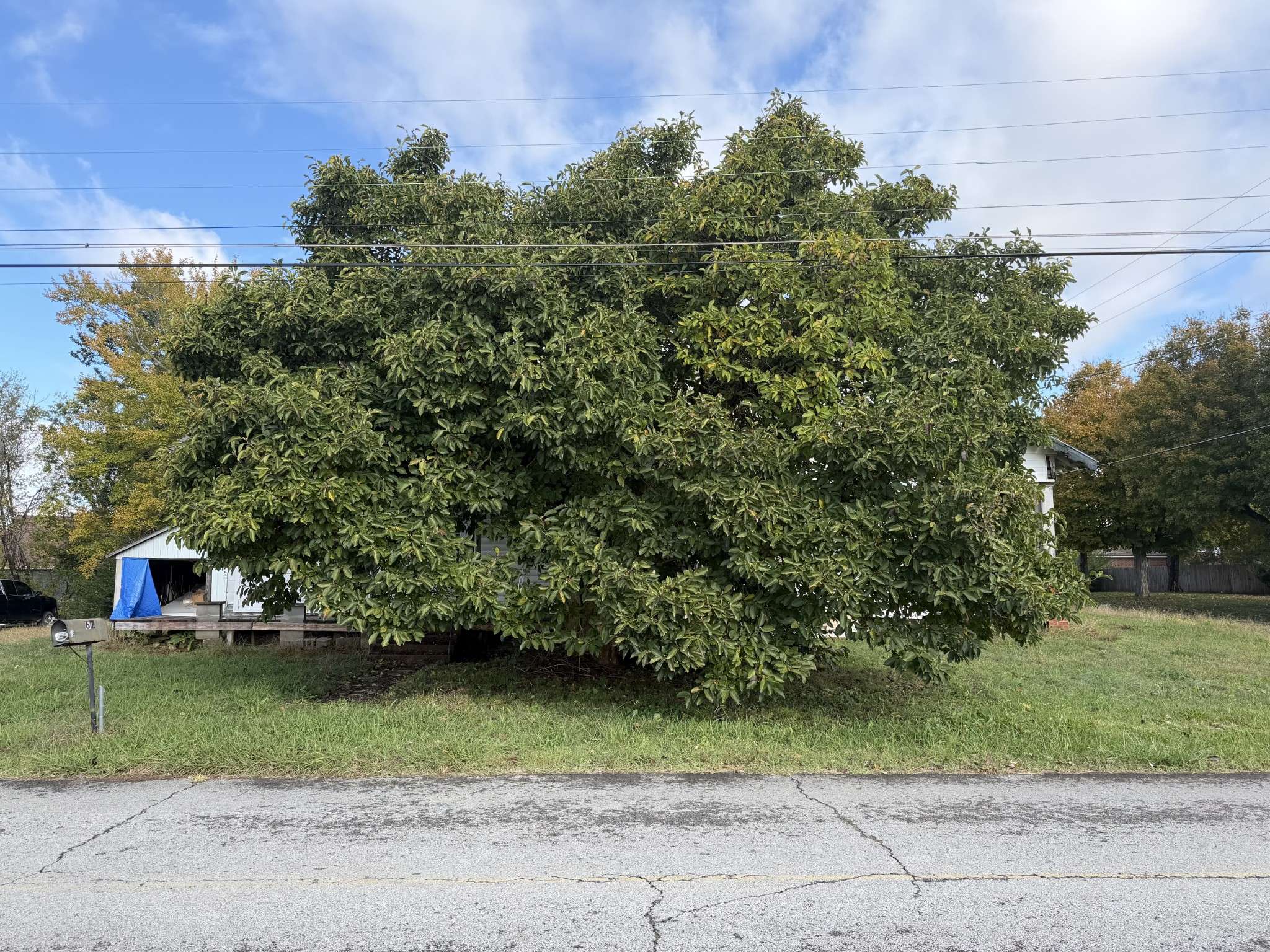 62 High St #E, Mc Ewen, TN 37101