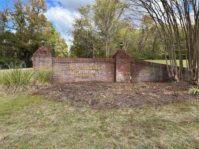 5 SUZY CV, Savannah, TN 38372