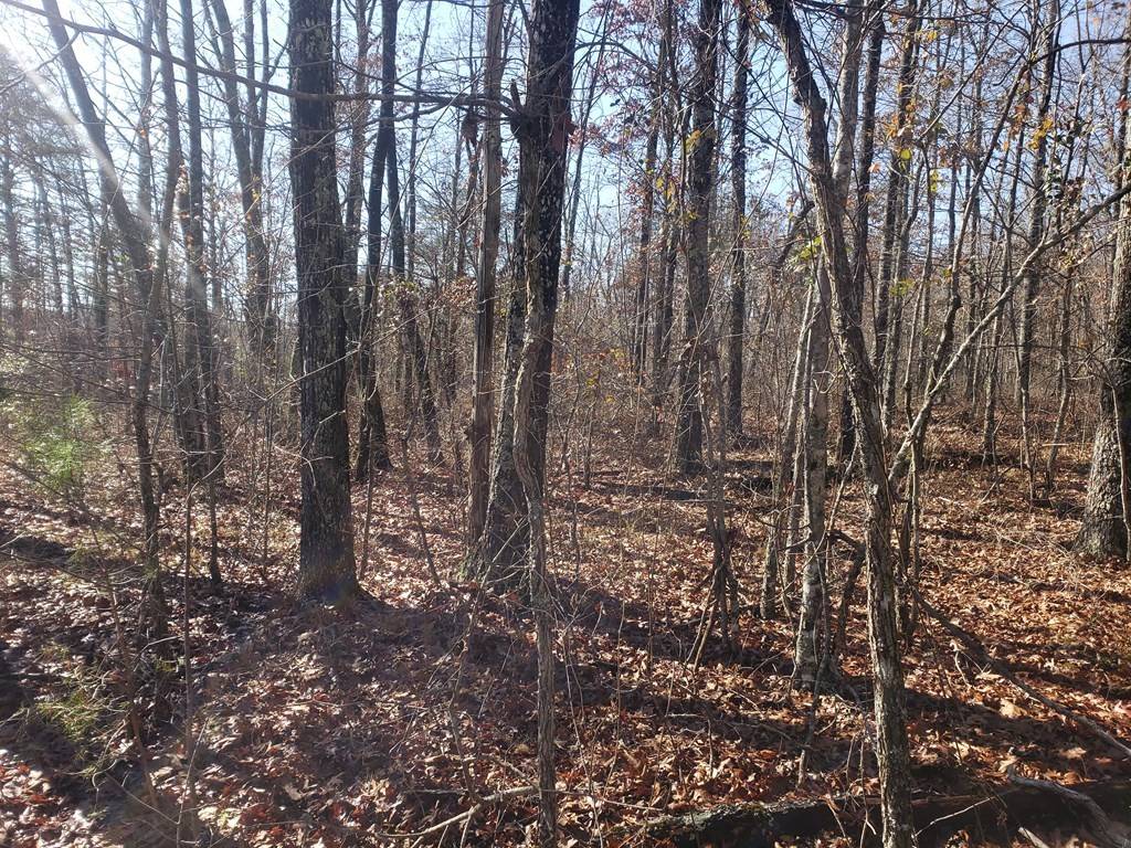 44 Hemlock Ln, Spencer, TN 38585