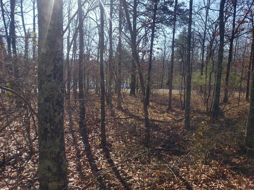 44 Hemlock Ln, Spencer, TN 38585
