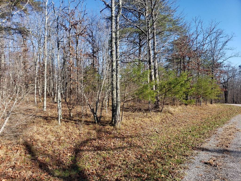 44 Hemlock Ln, Spencer, TN 38585
