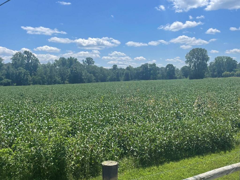 0 Ditty Road, Cookeville, TN 38506