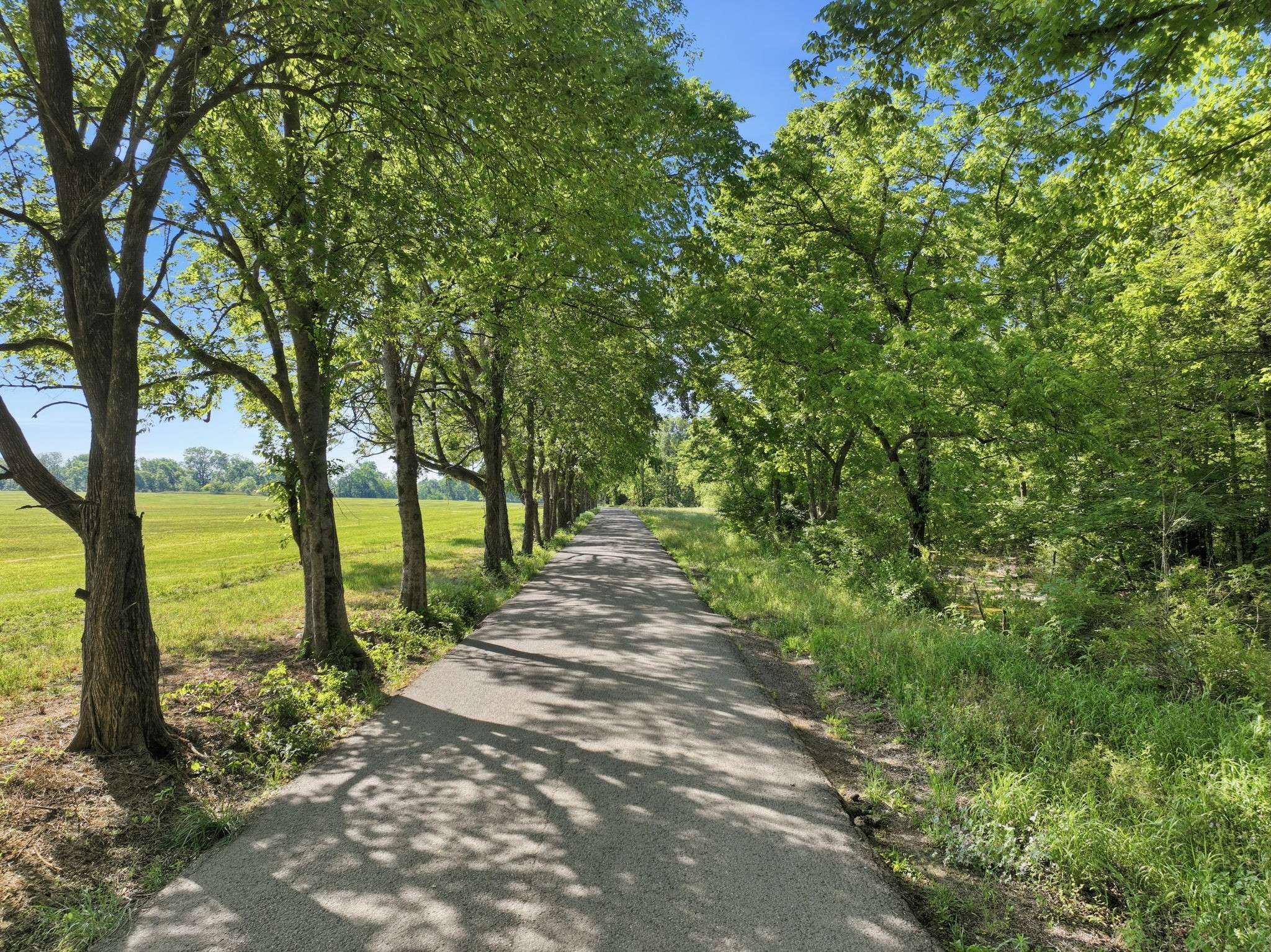 6 Deshea Creek Rd, Gallatin, TN 37066