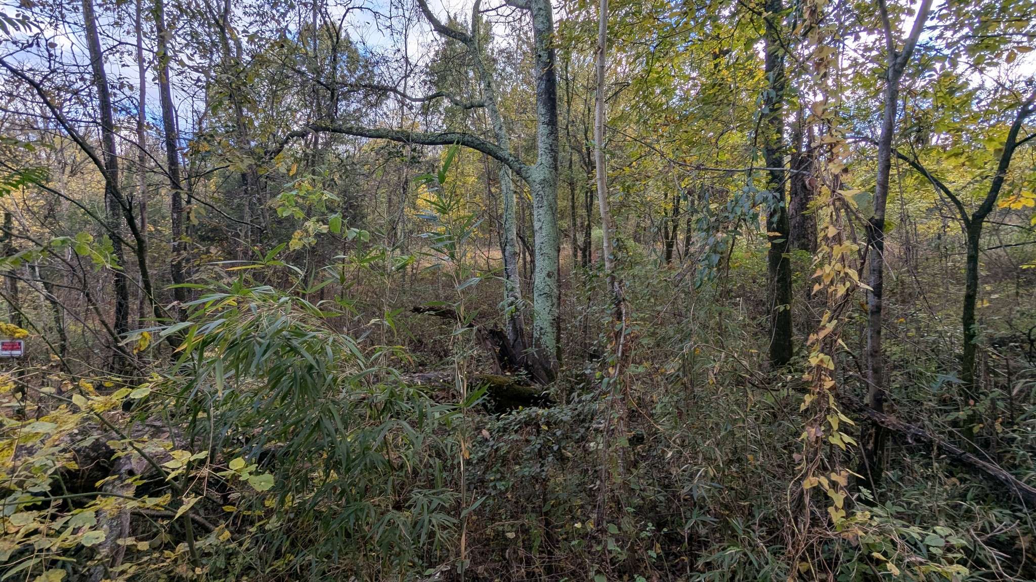 0 Greenvale Rd, Watertown, TN 37184