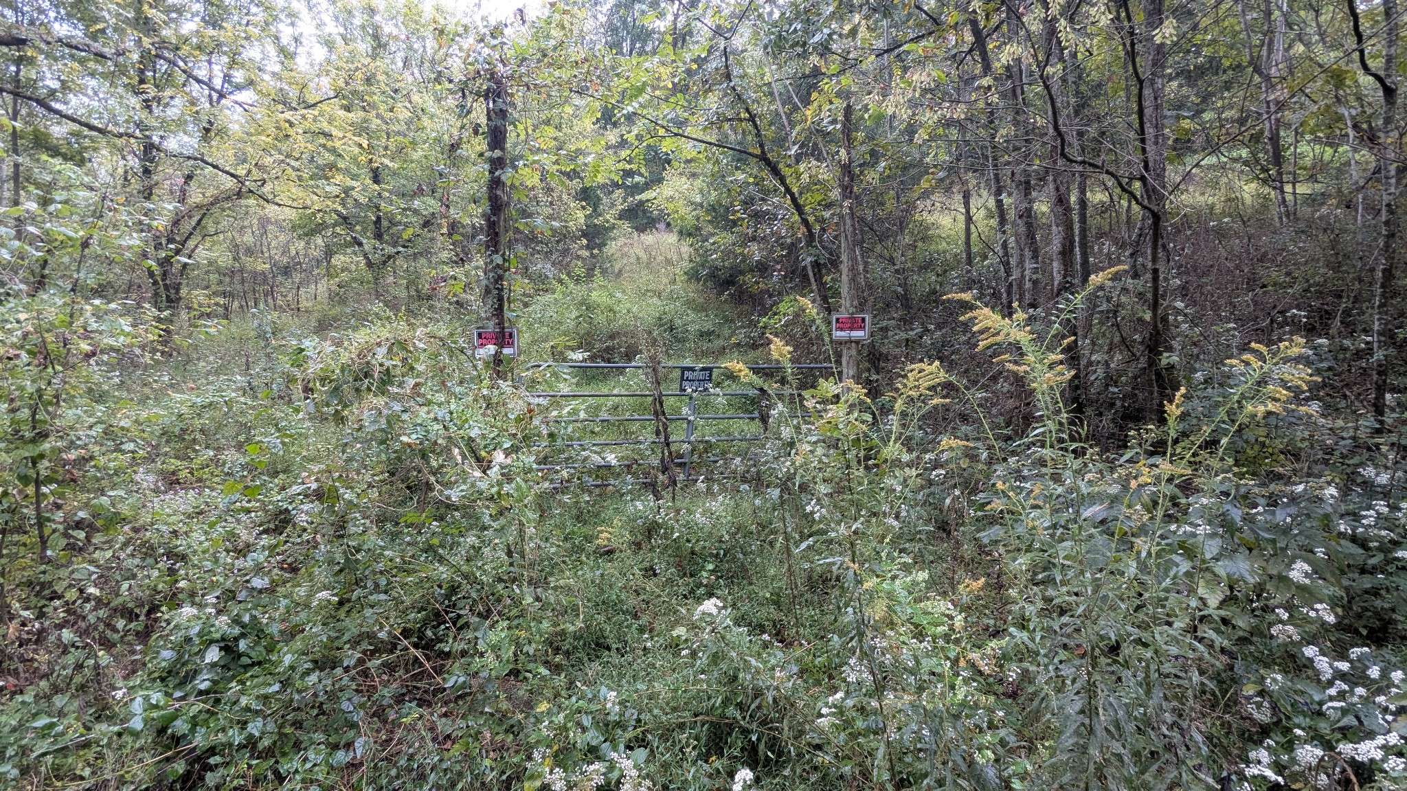 0 Greenvale Rd, Watertown, TN 37184