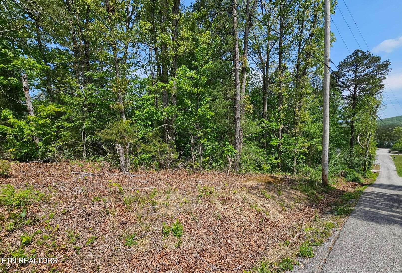 0 Sutherland Drive, Helenwood, TN 37755