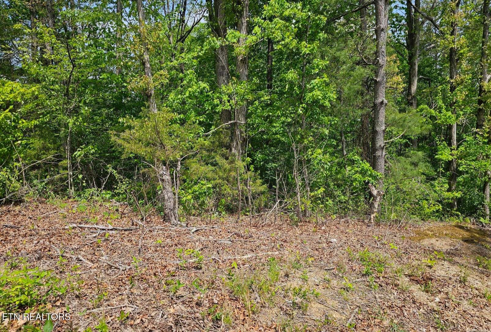 0 Sutherland Drive, Helenwood, TN 37755