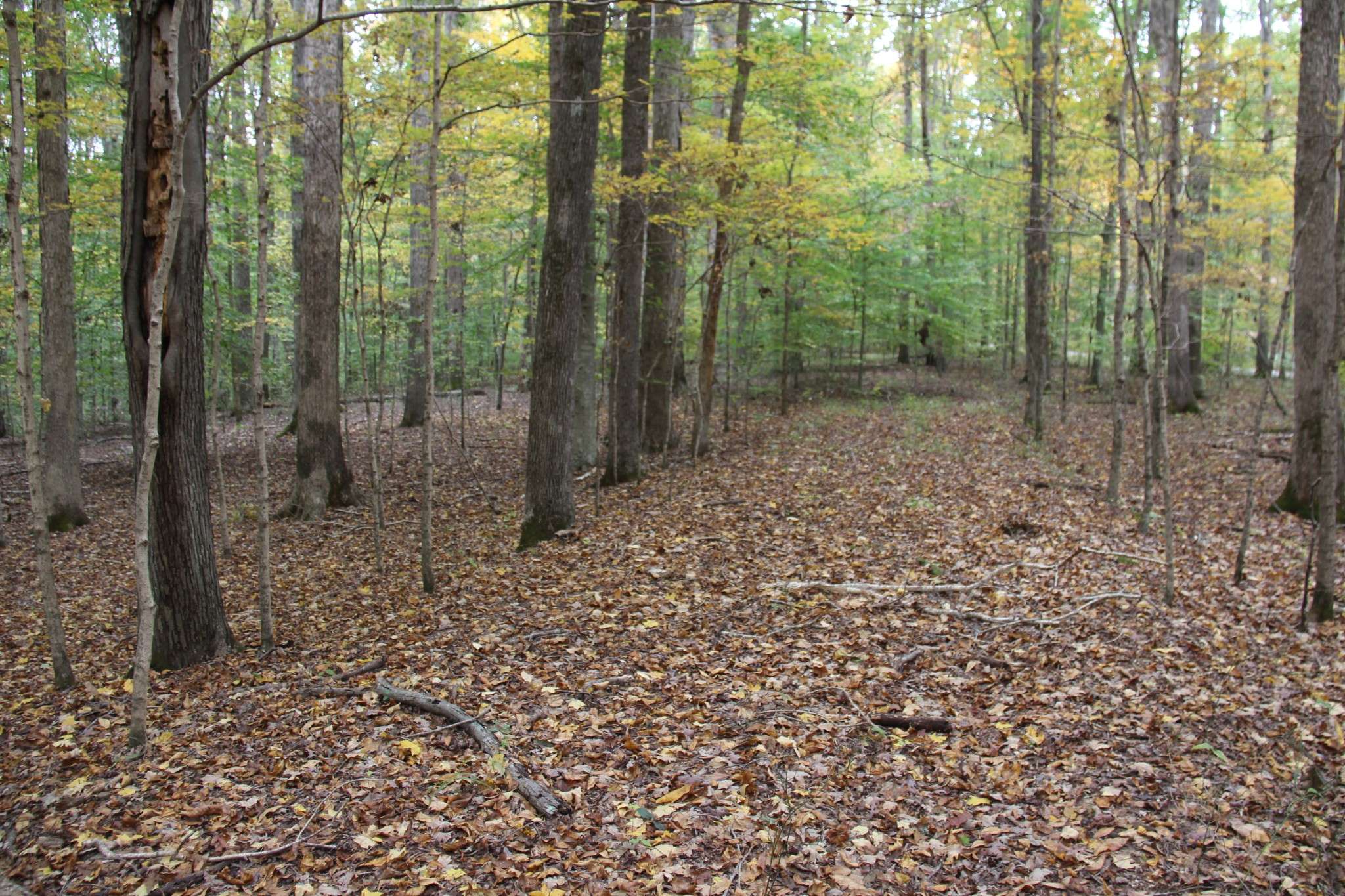 0 Jackson Cabin Road, Kingston Springs, TN 37082
