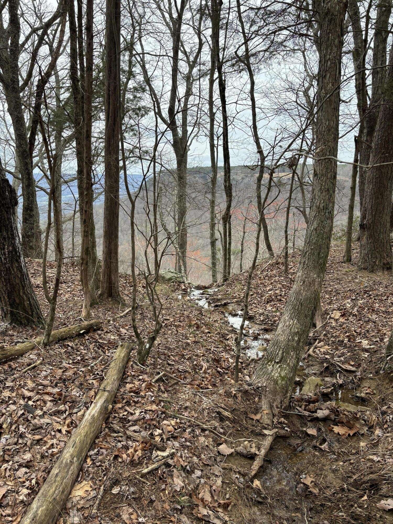 0 Raulston Falls Road, Jasper, TN 37347