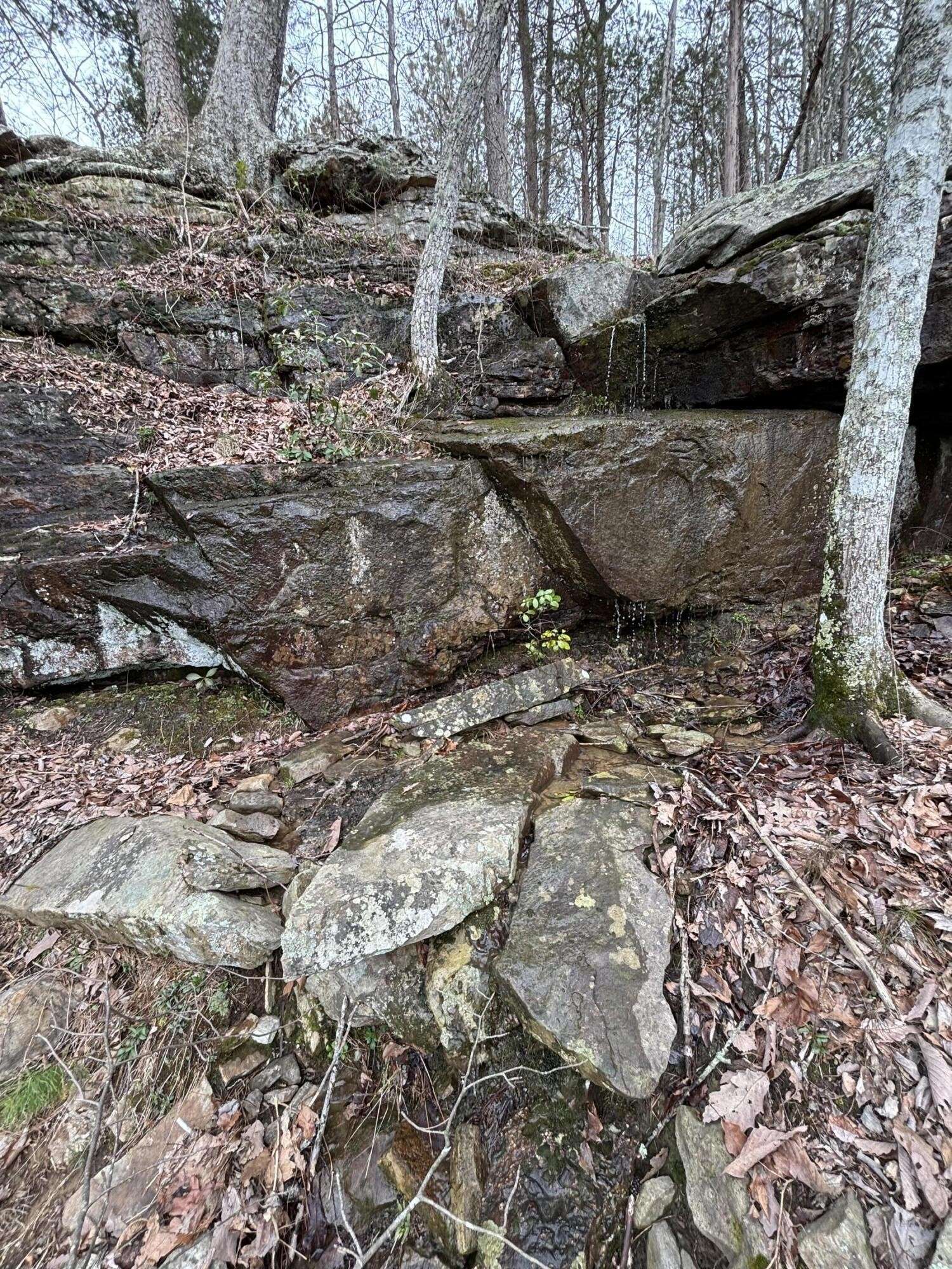 0 Raulston Falls Road, Jasper, TN 37347