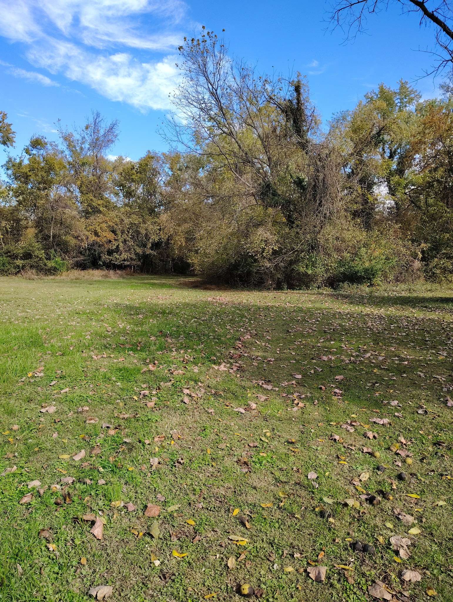848 21st St #E, Hopkinsville, KY 42240