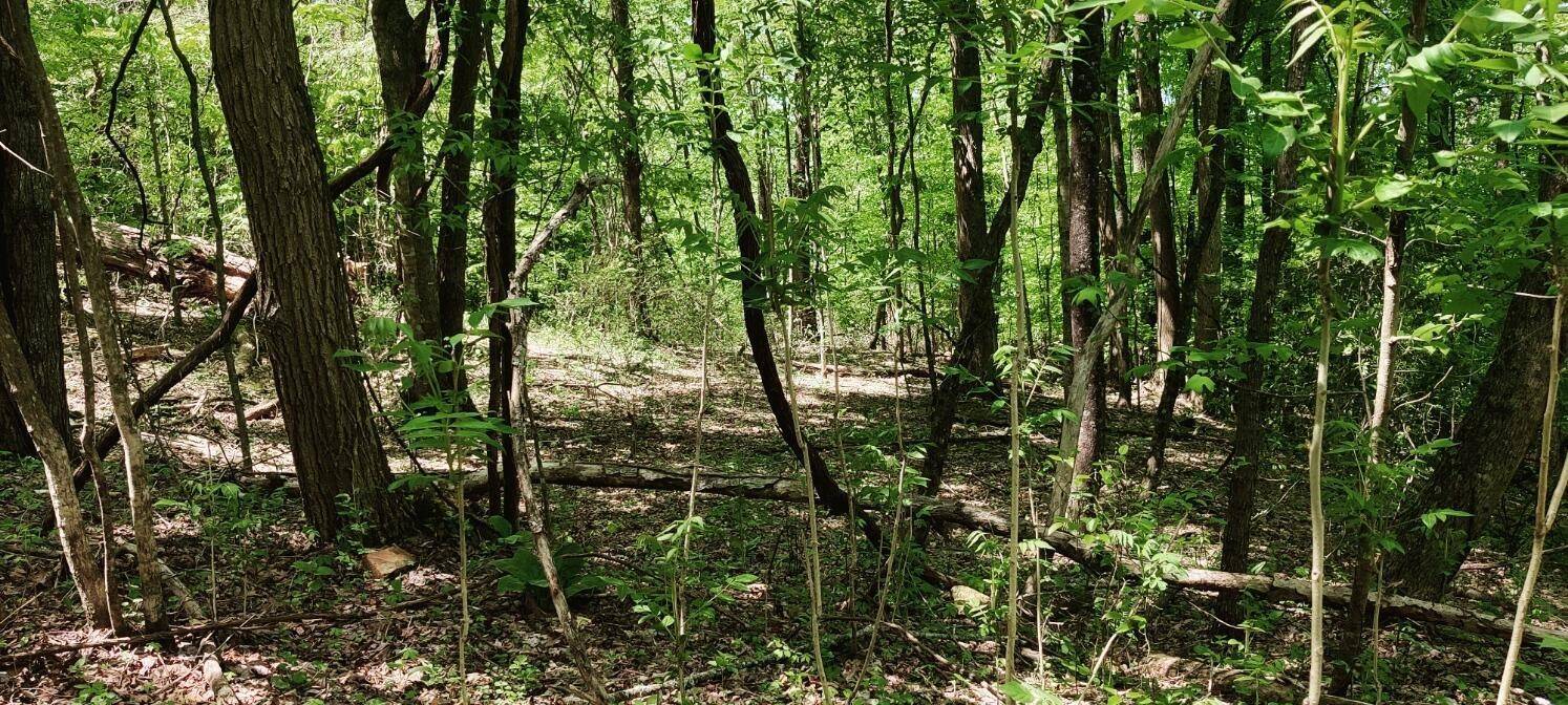 0 Coburntown Road, South Pittsburg, TN 37380