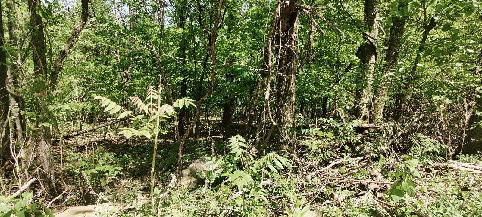 0 Coburntown Road, South Pittsburg, TN 37380