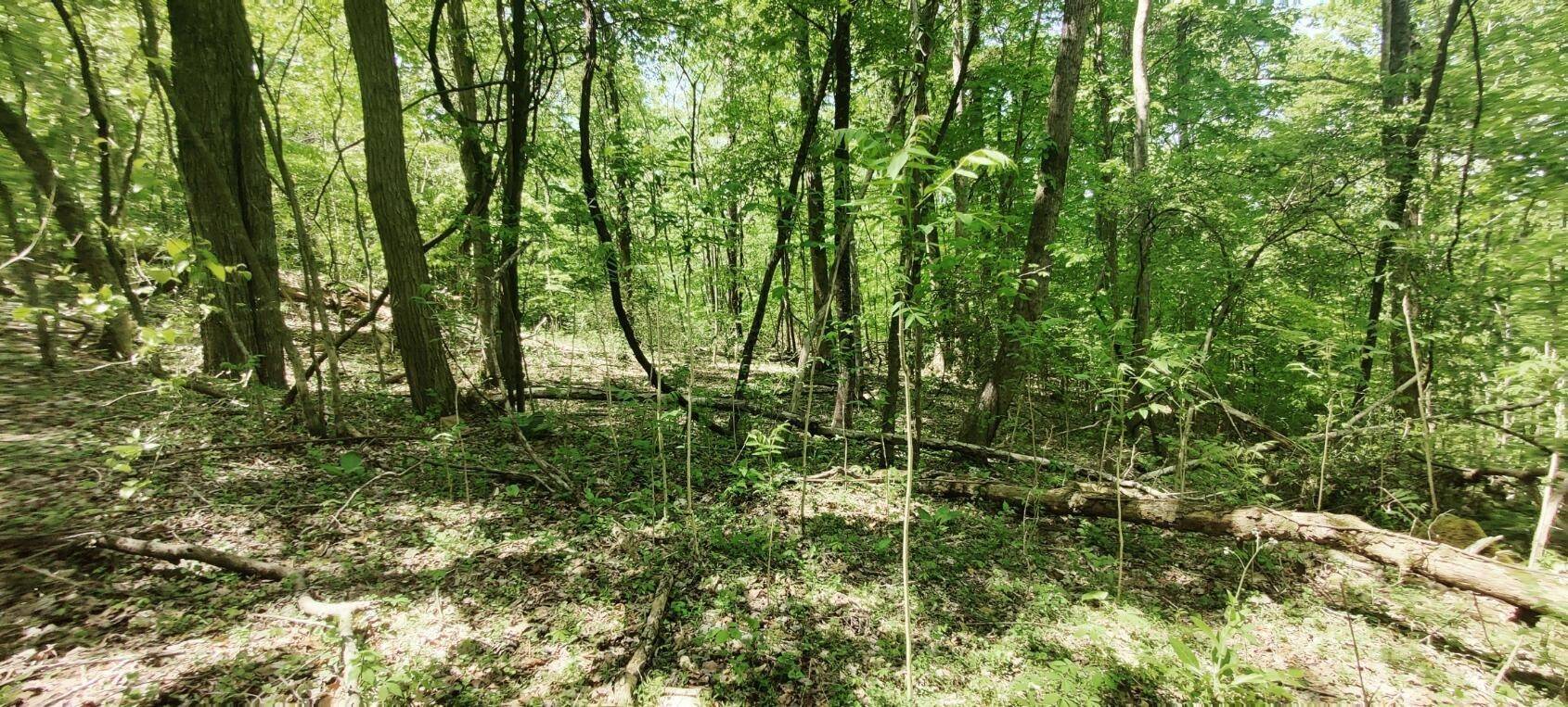 0 Coburntown Road, South Pittsburg, TN 37380