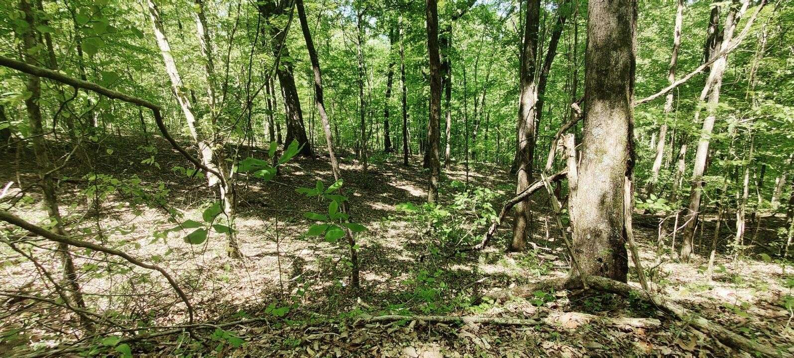 0 Coburntown Road, South Pittsburg, TN 37380