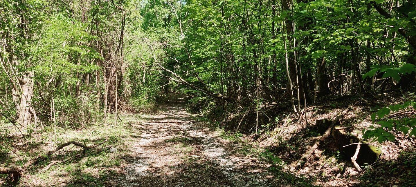 0 Coburntown Road, South Pittsburg, TN 37380